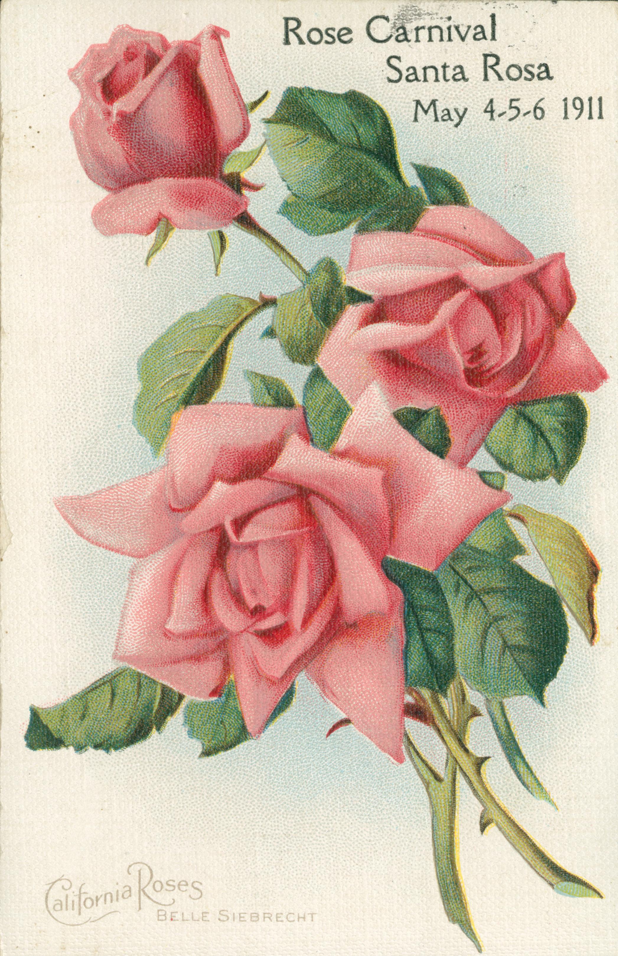 Shows a bunch of three roses